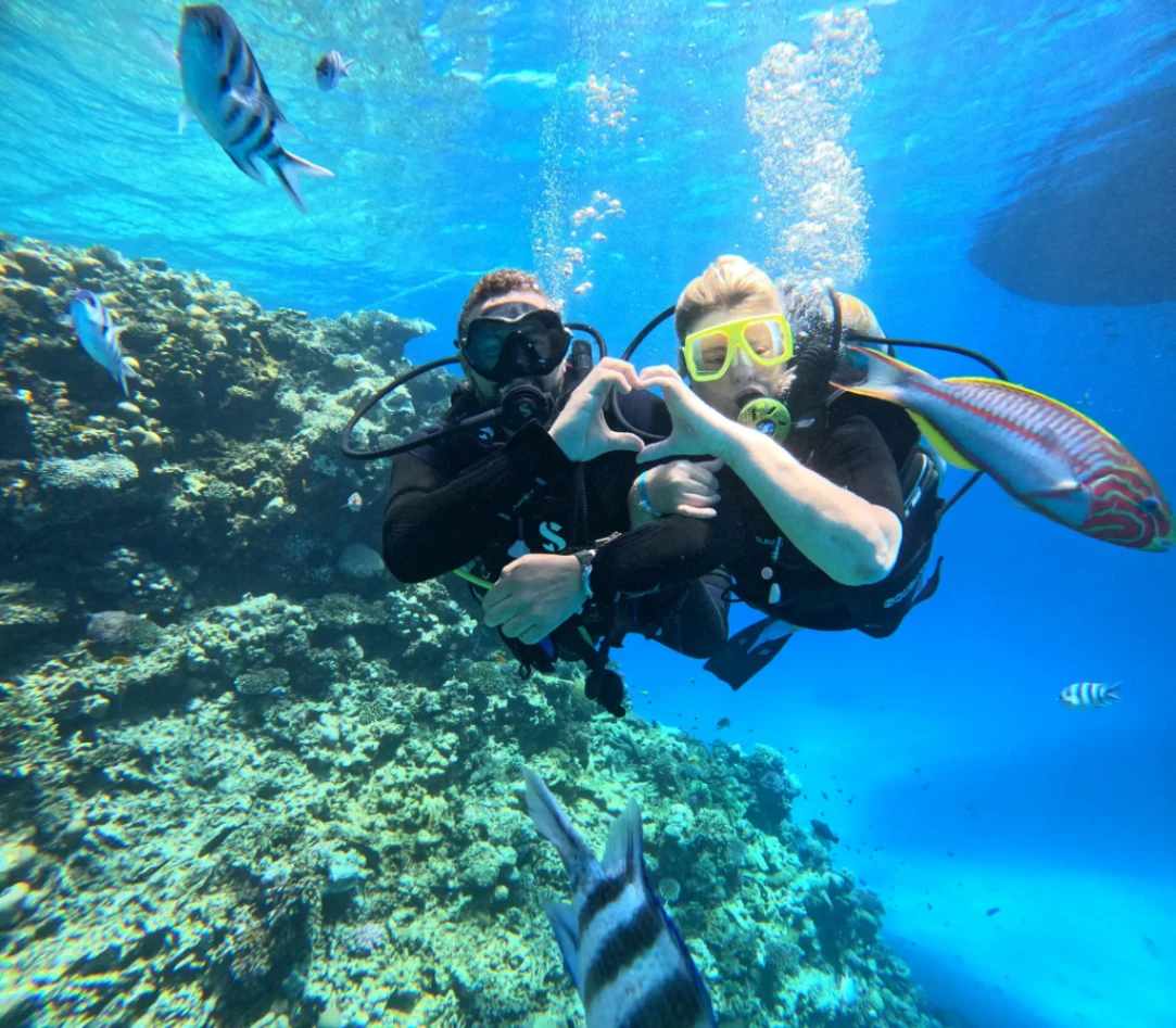 Hurghada: 6 Islands Speedboat, Dolphin watching & Snorkeling