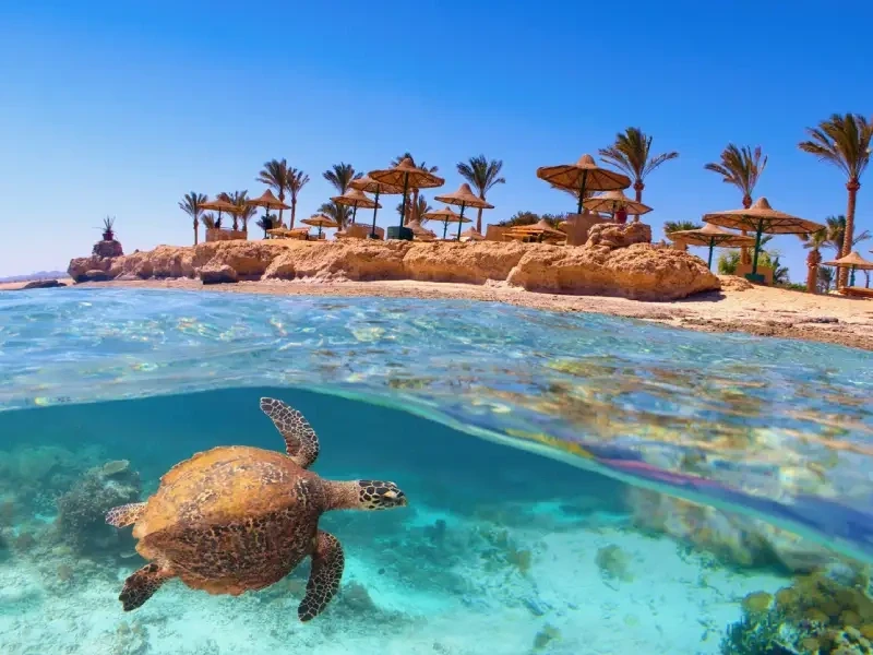 19 Days Egypt Signature Journey: Cruise, Cairo & Hurghada Adventure